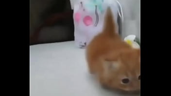 Soy muy linda y guapa estoy cachondisima