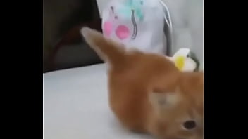 Soy muy linda y guapa estoy cachondisima