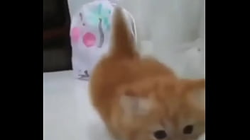 Soy muy linda y guapa estoy cachondisima