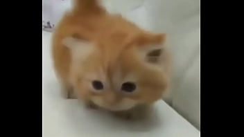 Soy muy linda y guapa estoy cachondisima