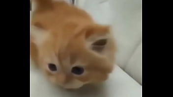 Soy muy linda y guapa estoy cachondisima