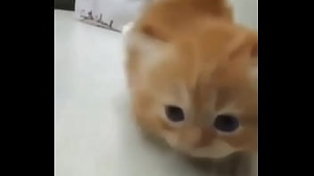 Soy muy linda y guapa estoy cachondisima