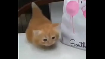 Soy muy linda y guapa estoy cachondisima