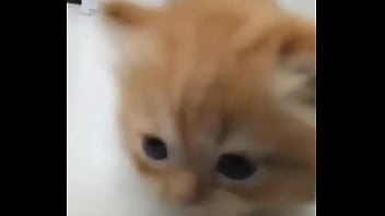 Soy muy linda y guapa estoy cachondisima