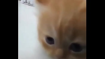 Soy muy linda y guapa estoy cachondisima