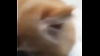 Soy muy linda y guapa estoy cachondisima