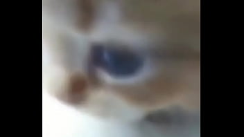 Soy muy linda y guapa estoy cachondisima