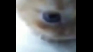 Soy muy linda y guapa estoy cachondisima