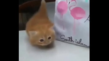 Soy muy linda y guapa estoy cachondisima