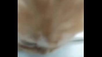 Soy muy linda y guapa estoy cachondisima