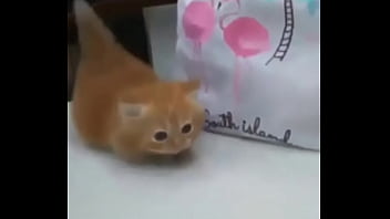 Soy muy linda y guapa estoy cachondisima