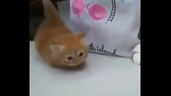 Soy muy linda y guapa estoy cachondisima