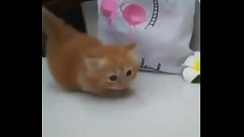 Soy muy linda y guapa estoy cachondisima