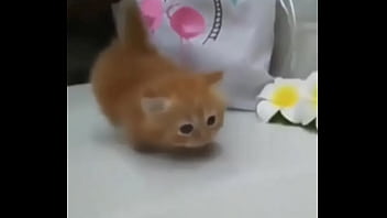 Soy muy linda y guapa estoy cachondisima