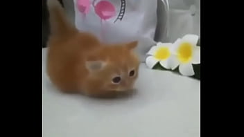 Soy muy linda y guapa estoy cachondisima