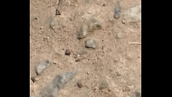 Joaninhas no sexo sem vergonha