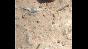 Joaninhas no sexo sem vergonha