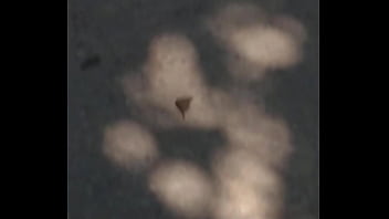 Joaninhas no sexo sem vergonha