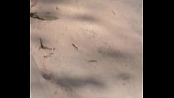 Joaninhas no sexo sem vergonha