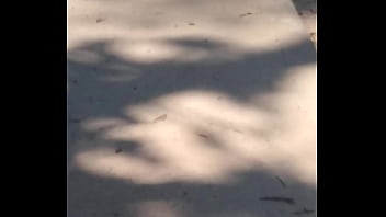 Joaninhas no sexo sem vergonha