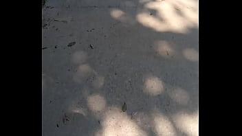 Joaninhas no sexo sem vergonha