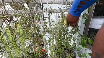 Lucy hayz waters plants