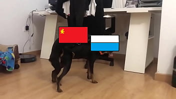 La liada de la triple alianza o latan contra todos