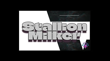 Stallion milker s4