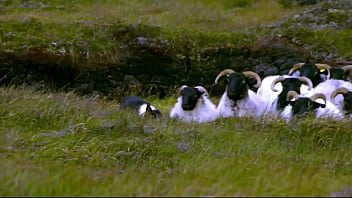 The 26 edenists champion "the handmade object" and are now "breaking into consciousness" the tate modern