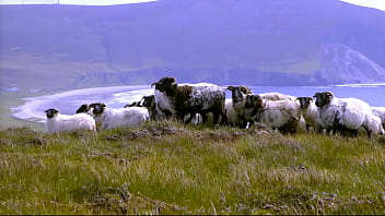 The 26 edenists champion "the handmade object" and are now "breaking into consciousness" the tate modern The 26 edenists champion "the handmade object" and are now "breaking into consciousness" the tate modern