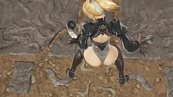 Cass 2b