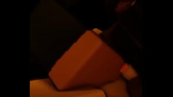 Censorbar lady fucks from behind