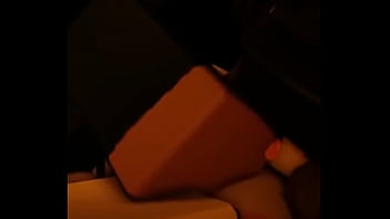 Censorbar lady fucks from behind