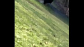 Do you remember my wild cat lara i adpoted from the animal shelter she never had any contact to humans and since a half