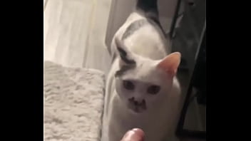 Yeah guess who knocked down one of my lights