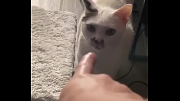 Yeah guess who knocked down one of my lights