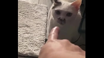 Yeah guess who knocked down one of my lights