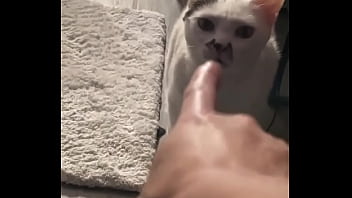 Yeah guess who knocked down one of my lights