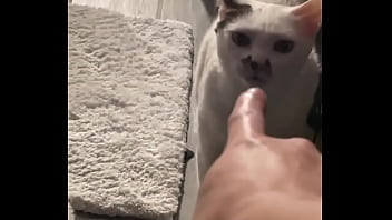 Yeah guess who knocked down one of my lights