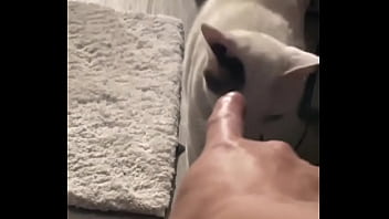 Yeah guess who knocked down one of my lights