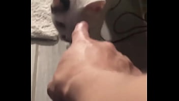 Yeah guess who knocked down one of my lights