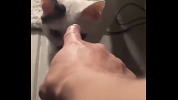 Yeah guess who knocked down one of my lights