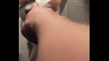 Yeah Guess Who Knocked Down One Of My Lights thumbnail