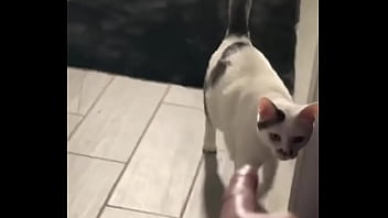 Yeah guess who knocked down one of my lights