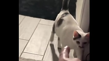 Yeah guess who knocked down one of my lights