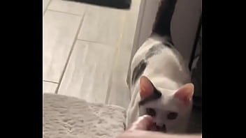 Yeah guess who knocked down one of my lights