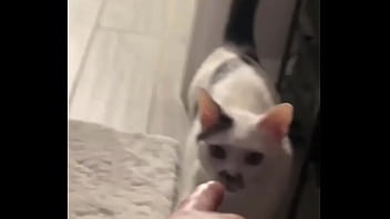 Yeah guess who knocked down one of my lights