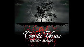 Jugaste y sufri audio oficial