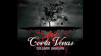 Jugaste Y Sufri Audio Oficial thumbnail