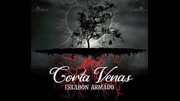 Jugaste y sufri audio oficial